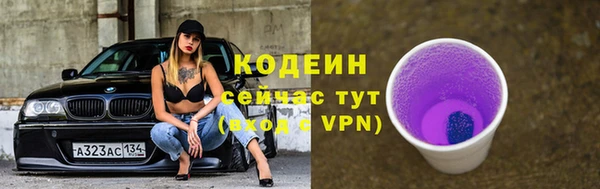 гашик Осинники